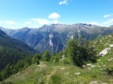 Panoramablick vom Pizzo Zucchero