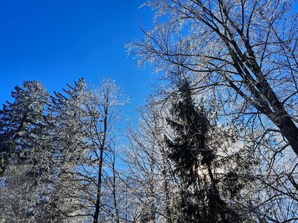 Foto van Rudi langs de tour