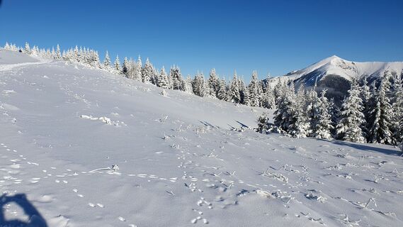 Blick auf Klosterwappen am Schneeberg