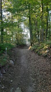 Zdjęcie z johpeterseil wzdłuż trasy