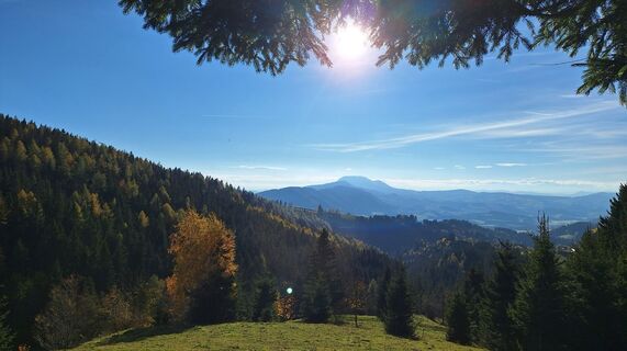 Foto de Regina Fleischmann a lo largo del recorrido