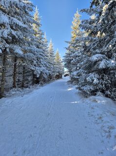 Foto de Patrick Unger a lo largo del recorrido