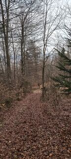 Foto de Huba Csicsics a lo largo del recorrido