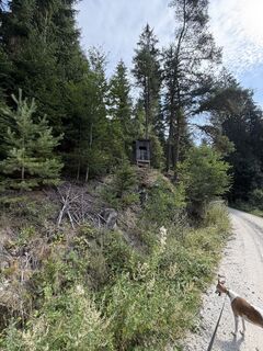 Foto von Babs Holz entlang der Tour
