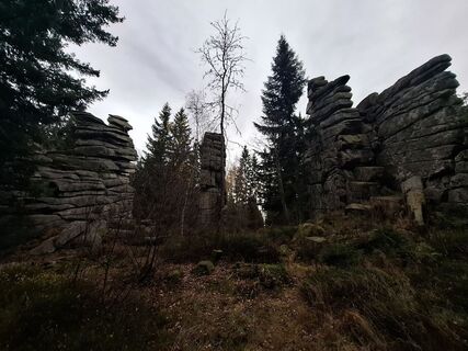 Foto de Wollomator a lo largo del recorrido