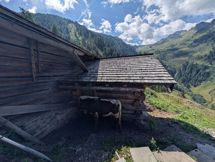 Zdjęcie z Alberta Kofler wzdłuż trasy