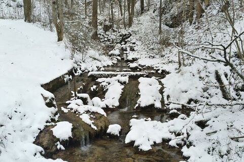 Bach durch den Naturpark