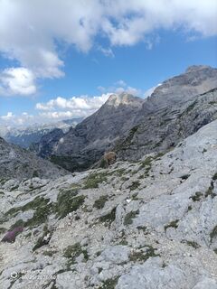 Foto von Matej Mezek entlang der Tour