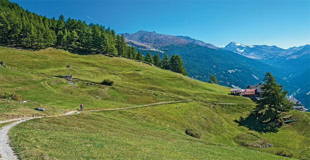 Ankunft in Plazzanecco in Valfurva. Im Hintergrund der Monte Confinale und der Pizzo Tresero.