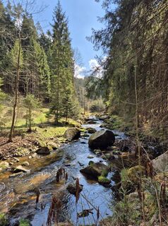 Foto de josef duermoser a lo largo del recorrido