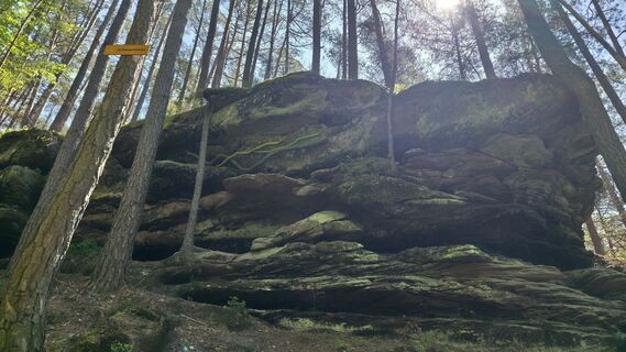 Photo de Yvonne Karcher le long du parcours