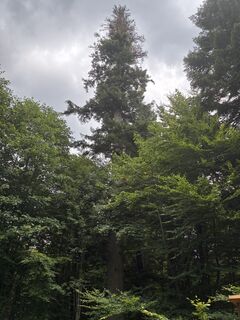 Photo de Lainie le long du parcours