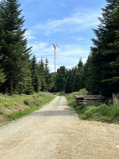 Foto da Manuel Gast lungo il tour