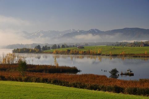 Wanderung - Riegsee-Rundweg - Morgenlicht am Riegsee