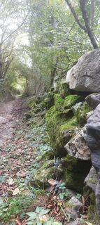 Foto von Mauro Geroldi (Gerry) entlang der Tour