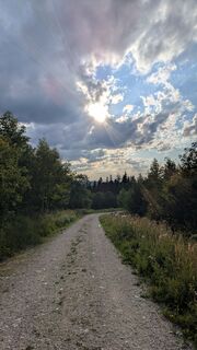 Photo de Ziegler Em1304 le long du parcours
