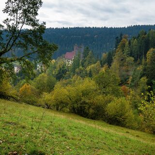 Nach einigen Höhenmetern erwartet den Wanderer ein toller Blick auf die Burg Berneck