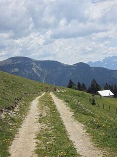Fotografia z Gerhard Mild 1 na trase