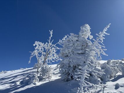 Foto von Heinz Sperl entlang der Tour