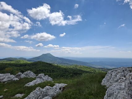 Foto von nordbergschnecke entlang der Tour