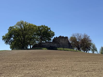 Foto von Babajo entlang der Tour