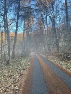 Foto von Bacskai János entlang der Tour