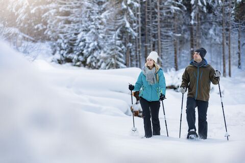 Schneeschuhtour durch Wald und Wiese