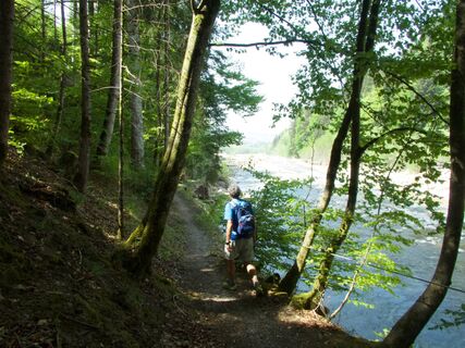 Waldweg vor Zollhaus - Freiburger Voralpenweg Etappe 2