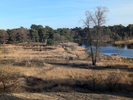 Photo de Matje Derks le long du parcours