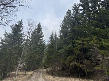 Fotografija s spletne strani zizi a na poti