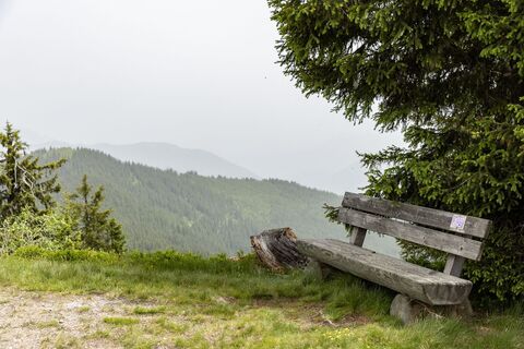 Bankerl am Weg zum Hochgründeck