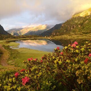 Murgsee