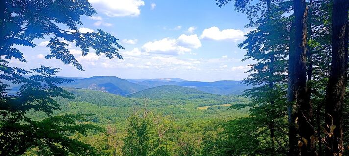 Fotografia z karazoltan na trase