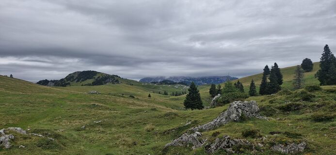 Foto de Jürgen Koinegg 1 a lo largo del recorrido