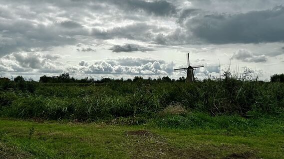 Gouda, Zuid-Holland/Nederland