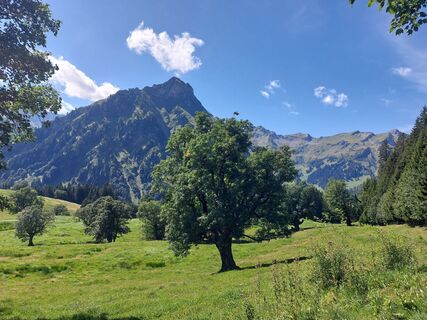 Foto von N Bruehne entlang der Tour