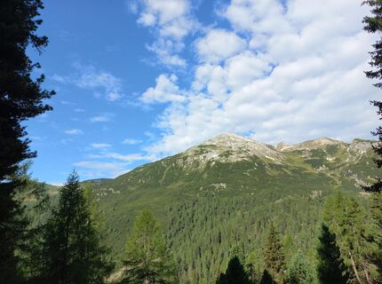 Fotografija s spletne strani Christa Grailach na poti