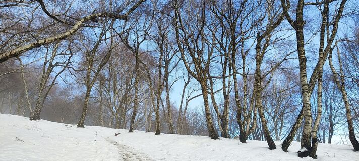Zdjęcie z Nicoletta Carminati wzdłuż trasy
