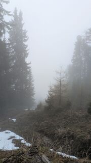 Fotografija s spletne strani Martin Glaser na poti