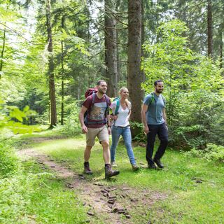 Drei Wanderer im Wald