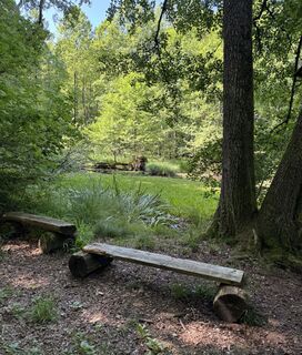 Foto von Denise Miller entlang der Tour