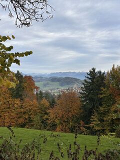 Fotografia z Cyrill Bischof na trase