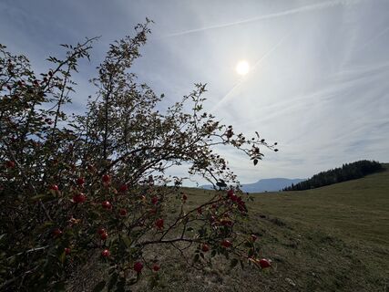Foto von Gerti Glettler entlang der Tour