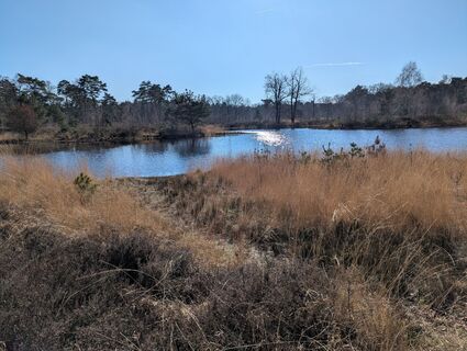 Photo de Matje Derks le long du parcours