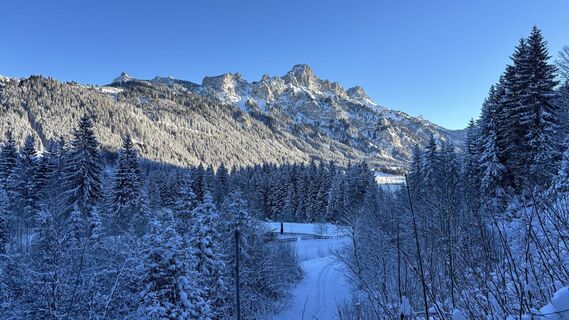 Fotografie z Erich Graf 2 na trase