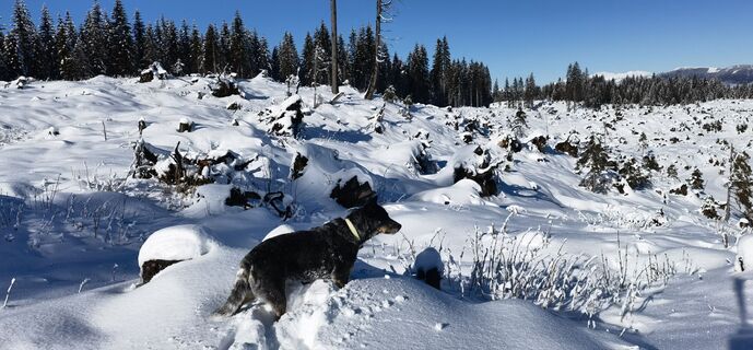 Fotografia z Reinsperger na trase