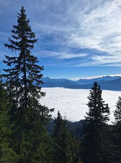 Fotografija s spletne strani Dagmar Hofer na poti