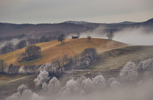 Winterwandern
