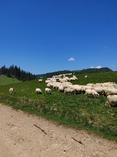 Foto de Edit Szabó 1 a lo largo del recorrido