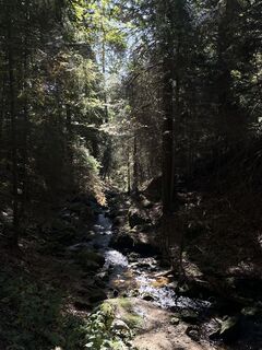 Foto von steste74 entlang der Tour